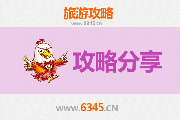 延安洛川旅游攻略：跟团游与自由行深度对比