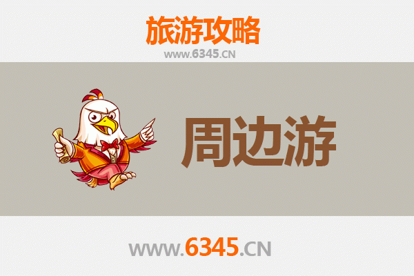 延安洛川周边游攻略：黄土风情与红色记忆的深度体验